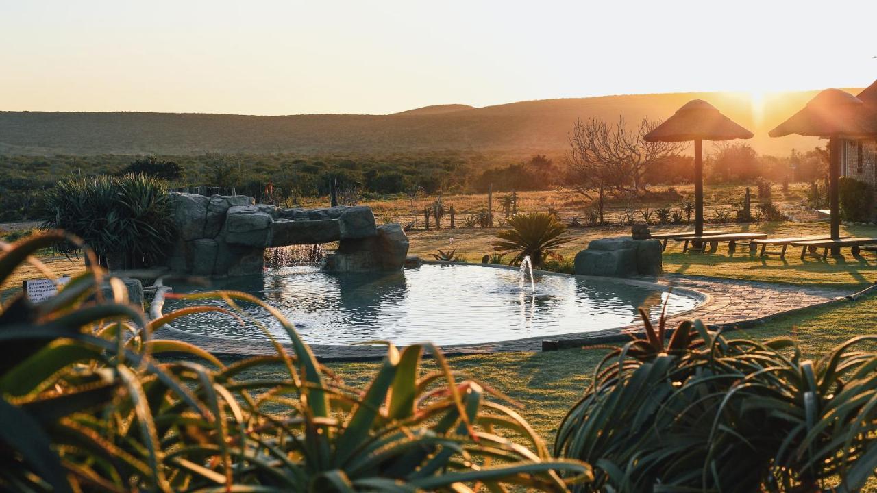 Charihandra Game Lodge أدو المظهر الخارجي الصورة